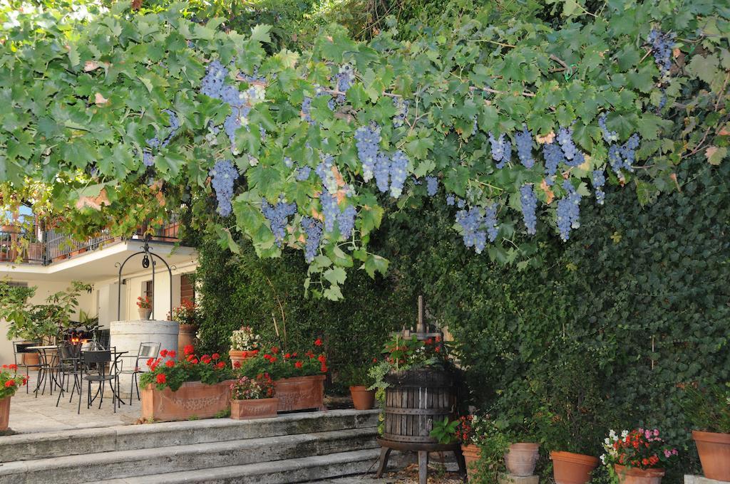 Casa Lemmi Guest House San Quirico d'Orcia Exterior photo