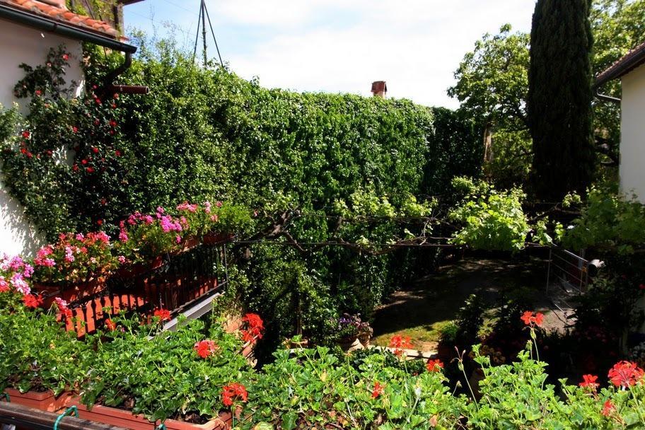 Casa Lemmi Guest House San Quirico d'Orcia Exterior photo